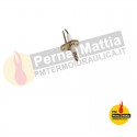 ELETTRODO*