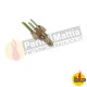 SONDA TERMIST.SAVIO-BI