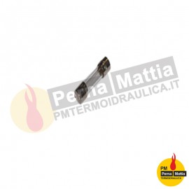 FUSIBILE RIT.-5X20-250V-1,6A (ORD.MIN.PZ.10)