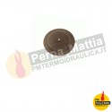 MEMBRANA8*
PS 343